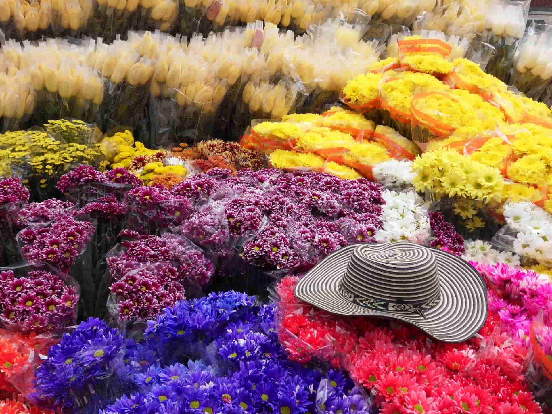 magasin de fleurs Bogota, Colombie