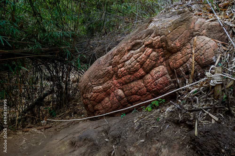 Tête de serpent géant dans la grotte de Naka, Thaïlande