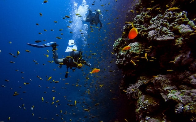 scuba diving in Spain