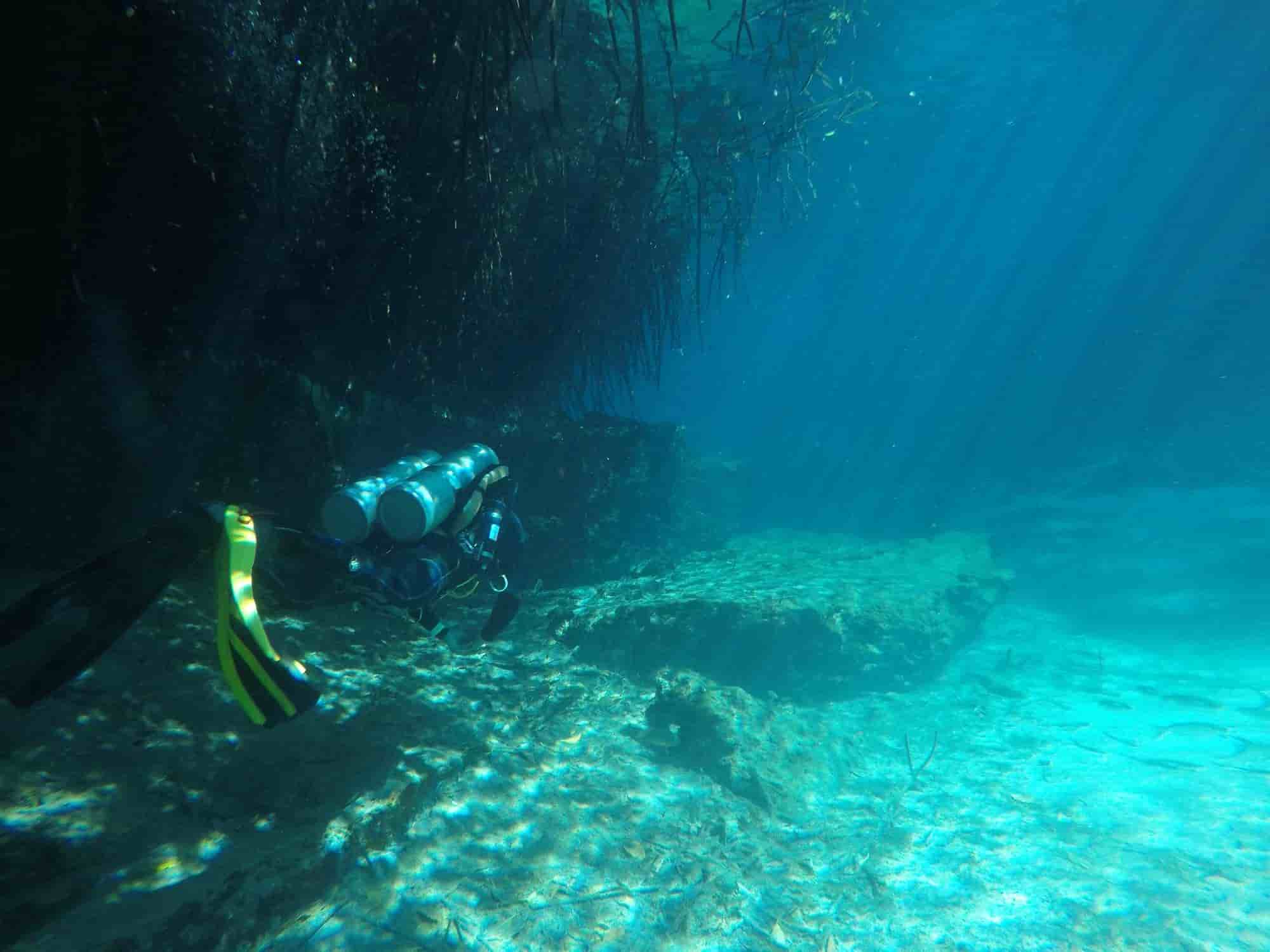 Diving in Casa Cenote