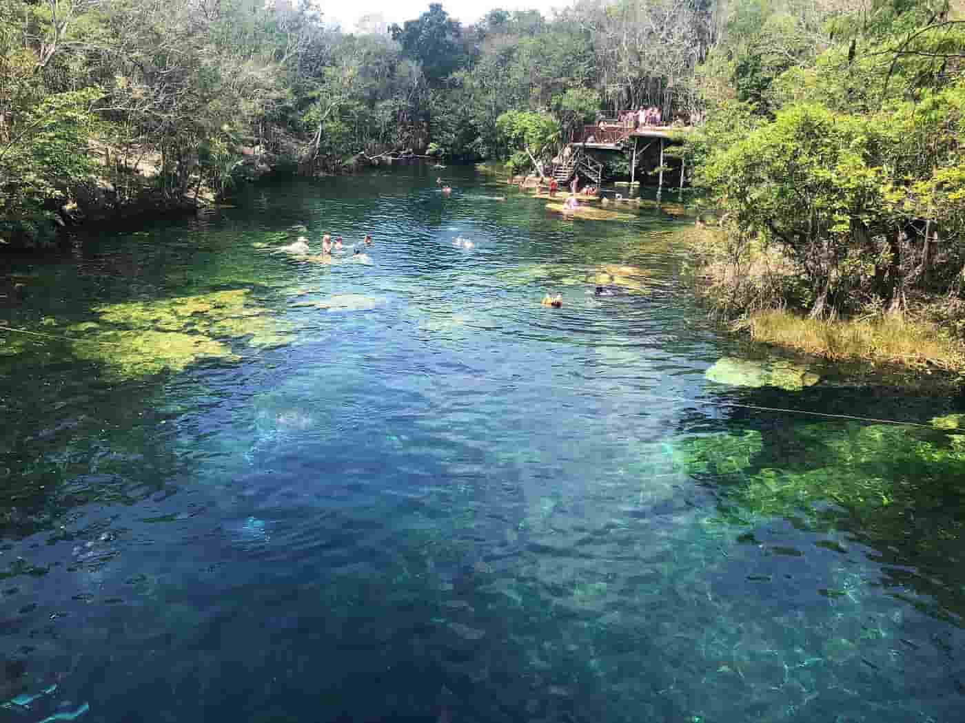 Cenote Jardin del Eden Pool